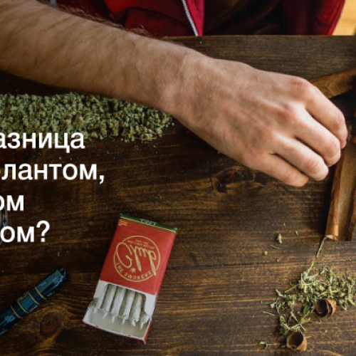 Блант, джоинт, сплиф – в чем разница?